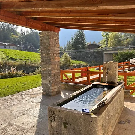 Le Grenier De Olga E Mario *