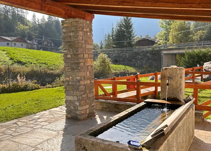 Le Grenier De Olga E Mario *